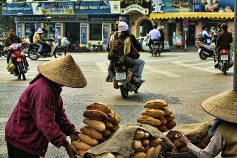 Freelancer Và Cơ Hội Kiếm Tiền Từ Nền Tảng Hotspot Matrix_Video ngắn TikTok