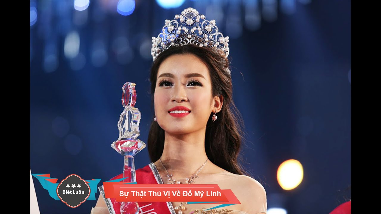 Sự Bùng Nổ Của Video Ngắn và Trí Tuệ Nhân Tạo: Vai Trò Thiết Yếu Của Đào Tạo Kỹ Năng Sáng Tạo Nội Dung_Phần mềm biên tập video miễn phí