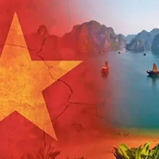 Sự Bùng Nổ Của Video Ngắn và Trí Tuệ Nhân Tạo: Vai Trò Thiết Yếu Của Đào Tạo Kỹ Năng Sáng Tạo Nội Dung_Kinh nghiệm khởi nghiệp