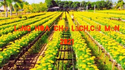 Loài cá kỳ lạ nhất châu Phi: - Cảm hứng video marketing từ Hotspot Matrix_video giới thiệu doanh nghiệp