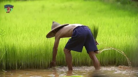 Video ngắn – Giải pháp truyền thông thông minh cho doanh nghiệp nhỏ_Sáng tạo nội dung