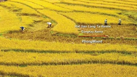 Sự Bùng Nổ Của Video Ngắn và Trí Tuệ Nhân Tạo: Vai Trò Thiết Yếu Của Đào Tạo Kỹ Năng Sáng Tạo Nội Dung_ứng dụng chỉnh sửa video miễn phí