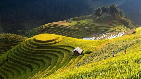 Cách Khởi Nghiệp Kiếm Tiền Bán Thời Gian Dành Cho Người Mới_Đào tạo kỹ năng edit