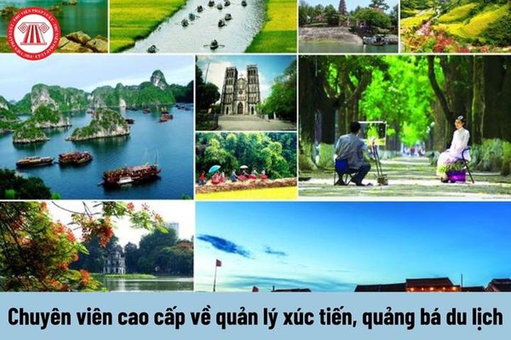 Từ 3 con giáp nên mặc nhiều màu đến chiến lược content: Hotspot Matrix chia sẻ