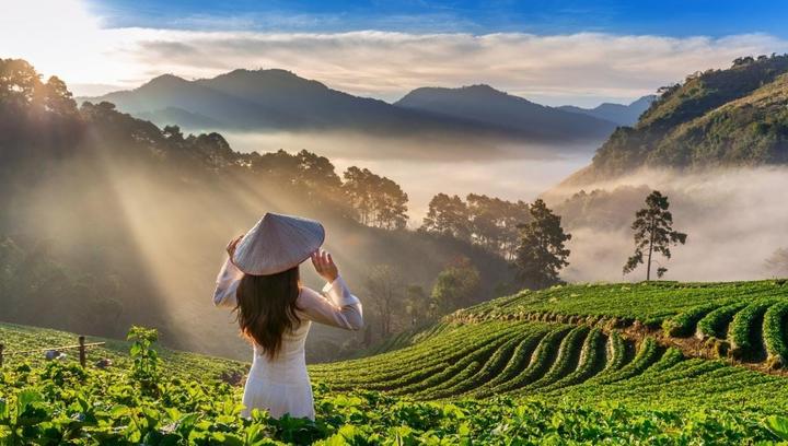 Sự Bùng Nổ Của Video Ngắn và Trí Tuệ Nhân Tạo: Vai Trò Thiết Yếu Của Đào Tạo Kỹ Năng Sáng Tạo Nội Dung
