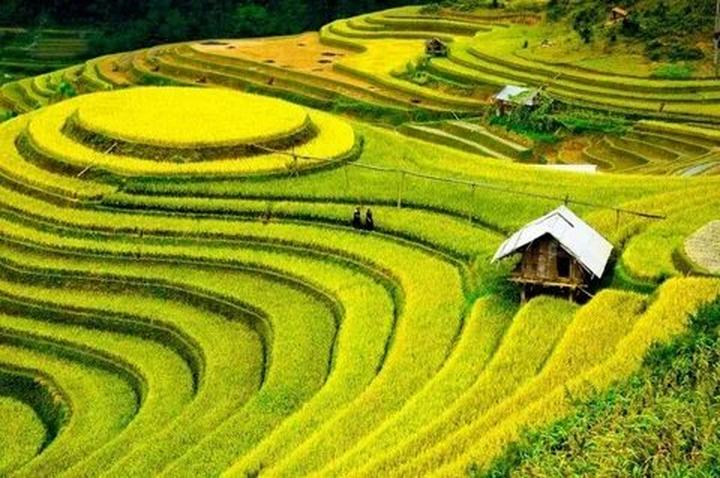 Cách Khởi Nghiệp Kiếm Tiền Bán Thời Gian Dành Cho Người Mới