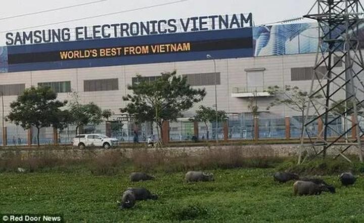 Xu hướng 3 kiểu giày